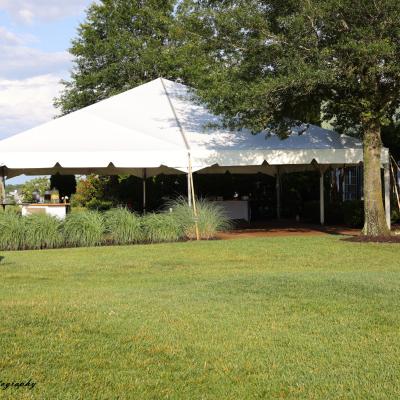 Linda Moran Photography