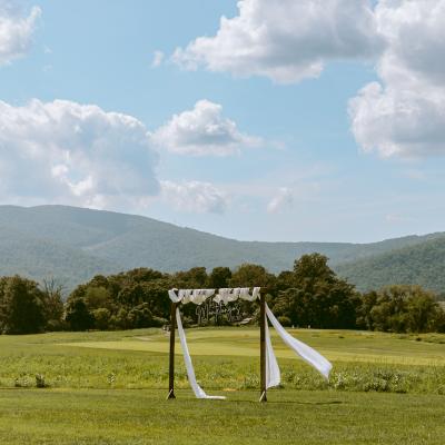 Molly Photography & Design