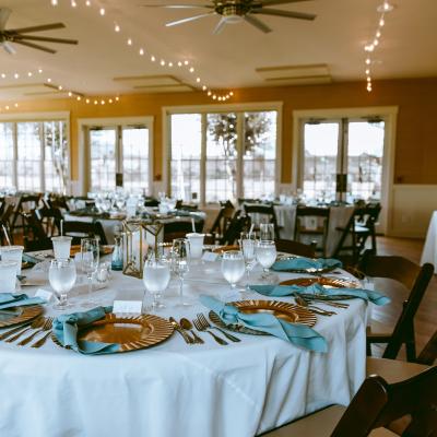 Molly Photography & Design