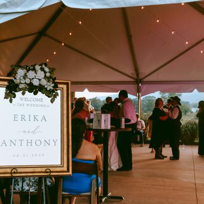 Molly Photography & Design